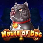 HOUSE OF DOG MC